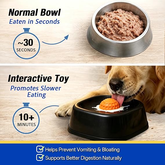 Anti-Choking Slow Feeder Dog Licking Bowl